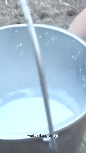 Video thumbnail for kombucha recipe