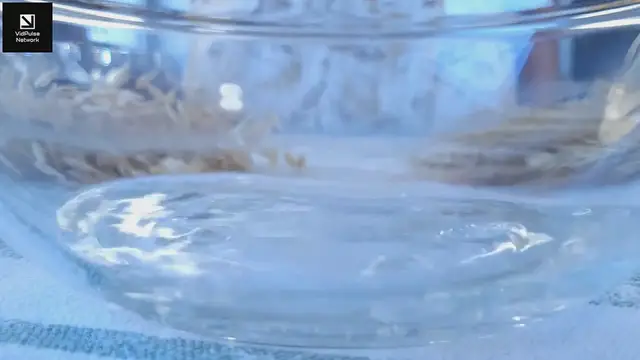 Video thumbnail for Simple Homemade Cheesy Bread Recipe with Herbs