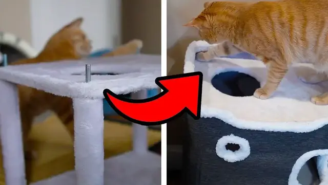 'Video thumbnail for How To Build This EHEYCIGA 2-Storey Cat House + Review'