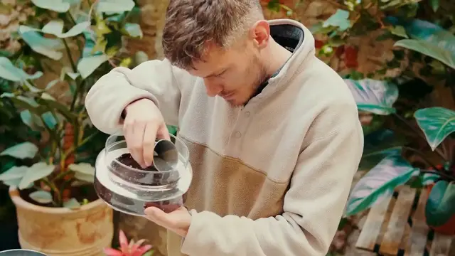 'Video thumbnail for Parlor Palm Repotting'