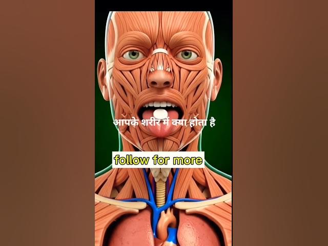 Video thumbnail for आपका शरीर चावल को कैसे पचाता है जानिए #digestion #shorts