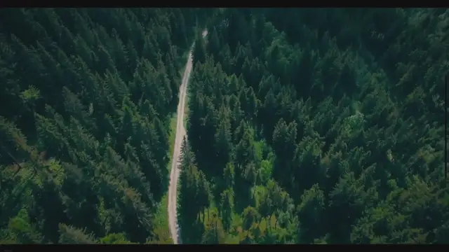 'Video thumbnail for Journey Through the Enchanting Black Forest: Unveiling Majestic Landscapes, Charming Cities, and Magical Experiences'