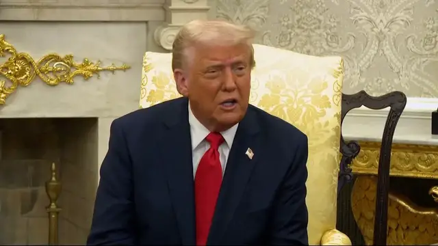 Video thumbnail for Trump might pump the brakes on auto tariffs: "They need a little bit of time"