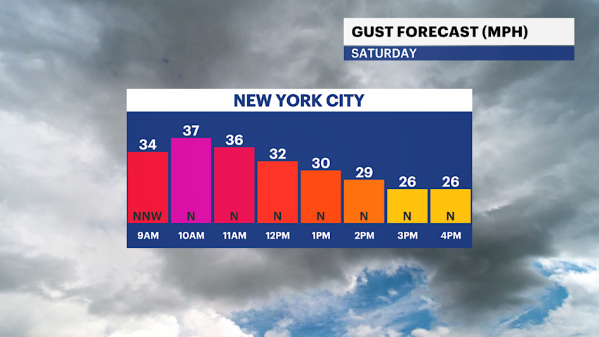 Video thumbnail for A chilly and windy start to the weekend for The Bronx