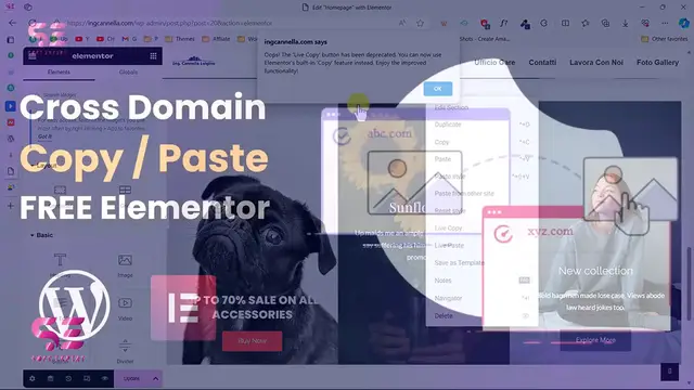 Video thumbnail for Cross Domain Copy Paste with FREE Elementor
