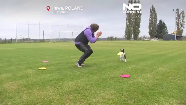 'Video thumbnail for Flying Cake Beza: from shelter to champion'