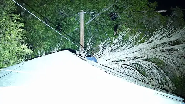Video thumbnail for US, Los Angeles: San Fernando Tree Down on Garage Causes Power Line Damage.