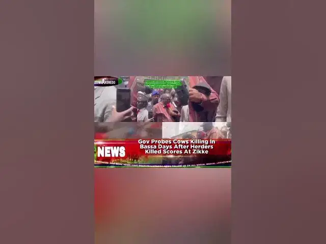 Video thumbnail for Gov Probes Cows Killing In Bassa Days After Herders Killed Scores At Zikke