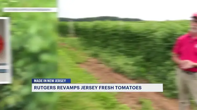 Video thumbnail for Made in New Jersey: The science behind New Jersey's world-famous tomatoes
