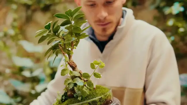 Video thumbnail for Top 5 Rare Succulents for Collectors