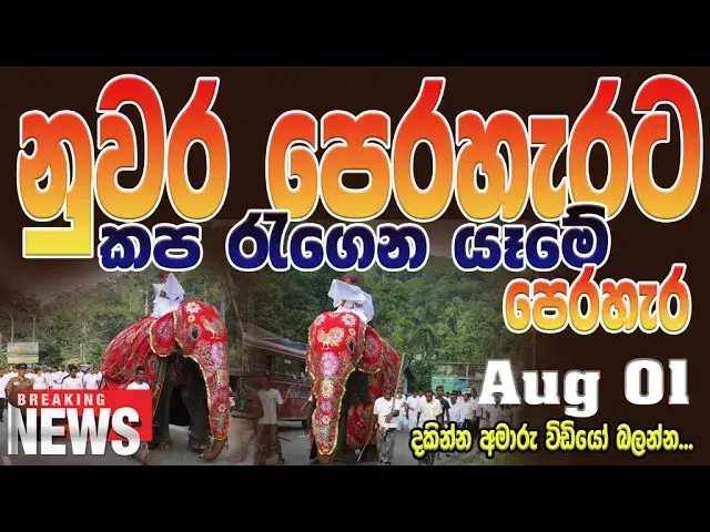 Video thumbnail for Taking the Kapa from Dedimunda Devalaya, Aluthnuwara to the Dalada Maligawa in Kandy 2019 Aug 01