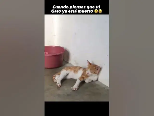 Video thumbnail for 23 de junio de 2023