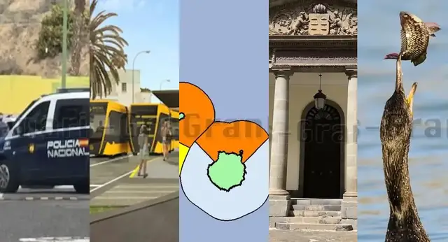 Video thumbnail for Gran Canaria Wochenrückblick vom 23-3-25