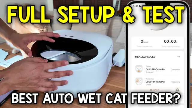 Video thumbnail for Everything To Knoaw About The PETLIBRO Automatic Wet Food Cat Feeder