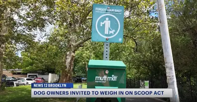 Video thumbnail for Brooklyn dog owners asked to weigh in on Scoop Act