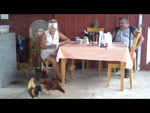 Video thumbnail for 20131006_141333.mp4