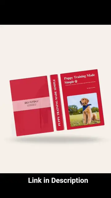 Video thumbnail for How to Train Your Puppy FAST | Simple Dog Training Tips #puppytraining #dogtrainingtips #ytshorts