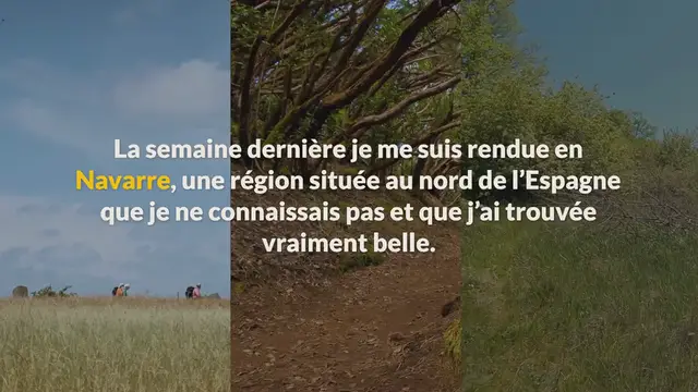 Video thumbnail for Omelette aux cèpes, une recette facile et savoureuse