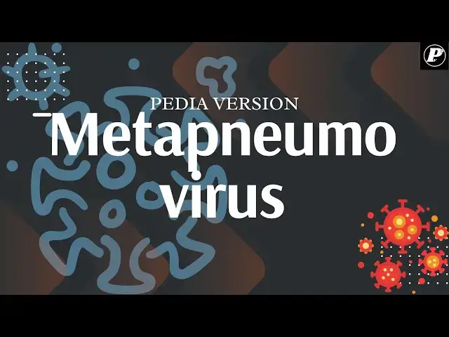 Video thumbnail for Human Metapneumovirus: The Hidden Cold That Packs a Punch! 🦠