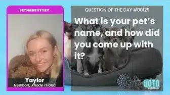 Video thumbnail for Taylor's dog isn't a doctor, but she plays one on TV!