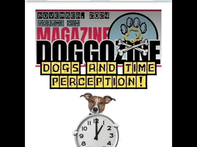 'Video thumbnail for Dogs and Time Perception: Do Dogs Perceive Time? by Doggozila Magazine'