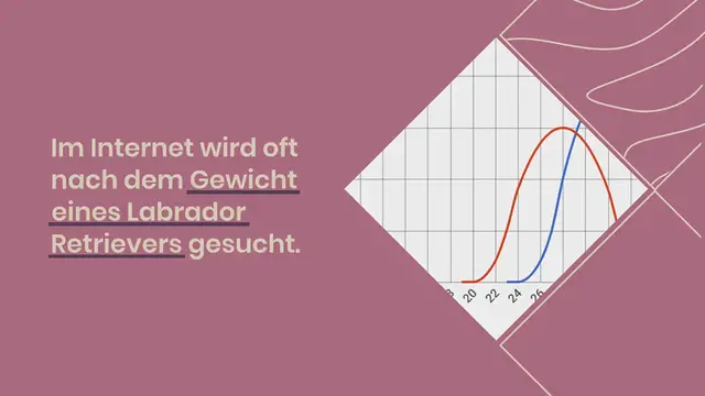 Video thumbnail for Labrador Gewicht