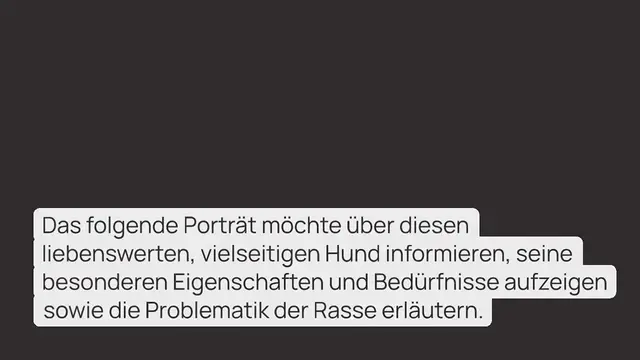 Video thumbnail for Rottweiler im Rasseportrait