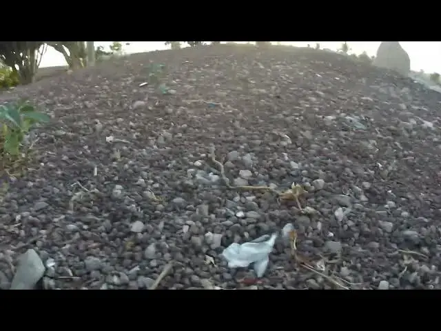 Video thumbnail for Eco Plastic Gloves