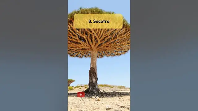 Video thumbnail for 10 Unique Island Ecosystems of the World #island #world