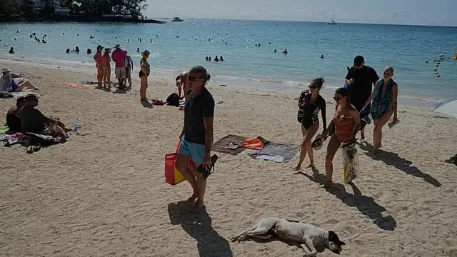 Video thumbnail for Mauritius imposes curfew after police shooting sparks violent protests
