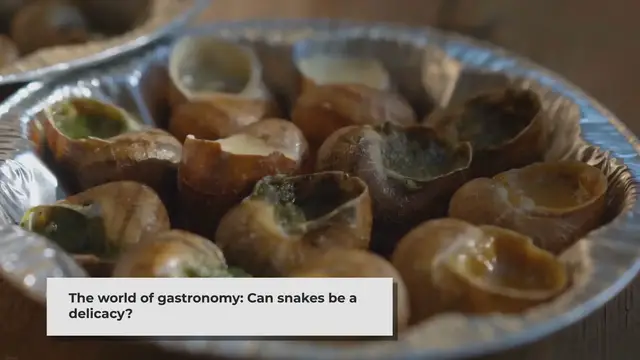 Video thumbnail for Can You Eat Snakes? Investigation