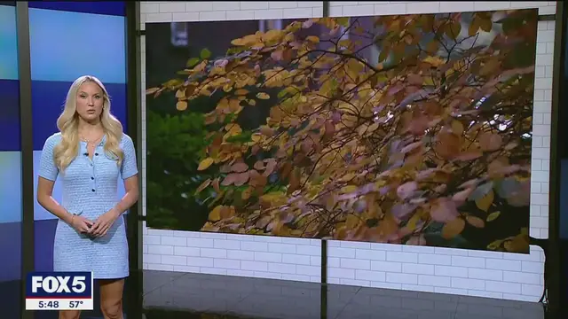 'Video thumbnail for Central Park’s new fall foliage map shows where leaves are peaking right now'