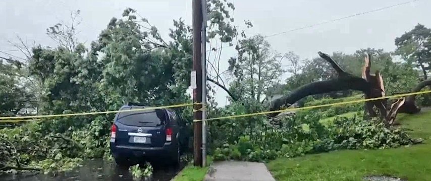 Video thumbnail for Tall tree crushes cars in New Rochelle, neighbors say they felt impact