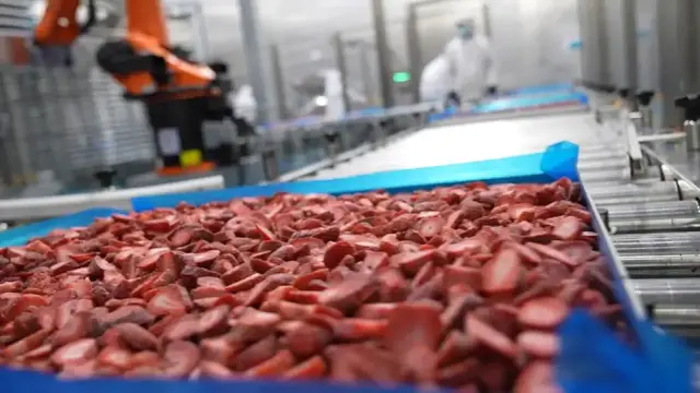 Video thumbnail for Egypt: Egyptian strawberry exports to China surge as zero-tariff policy bears fruit.