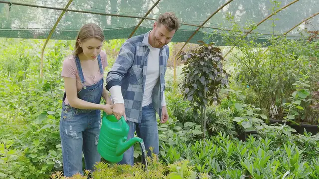 Video thumbnail for How to Revive Dying Plants