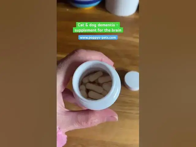 Video thumbnail for Pet Dementia: RenewMe (Link in the Comments) Senior Cats & Dogs: Alertness, Memory,Brain Function