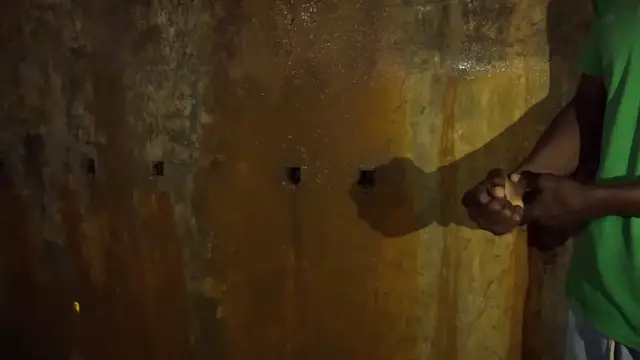Video thumbnail for African leaders push for slavery reparations beyond apologies