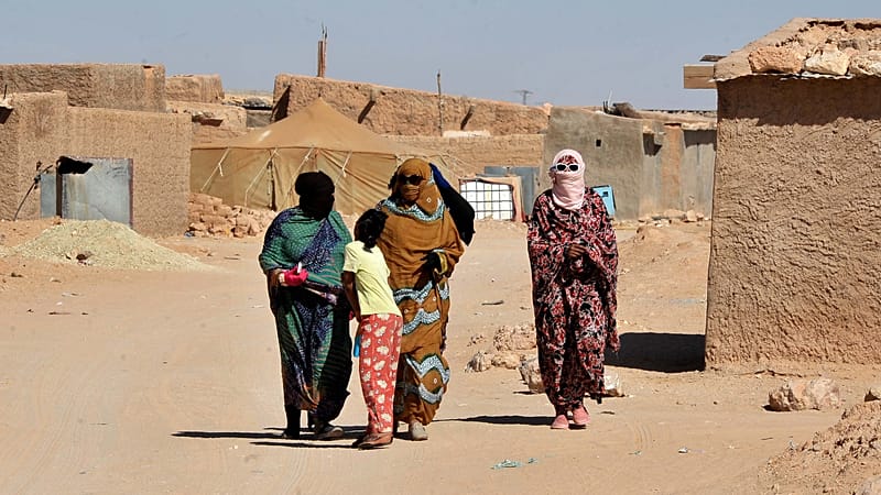 Video thumbnail for In Algerian desert, Sahrawi refugees still dream of independent homeland