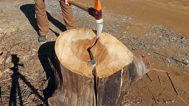 'Video thumbnail for Splitting Biggest Nuttiest Log Ever!'
