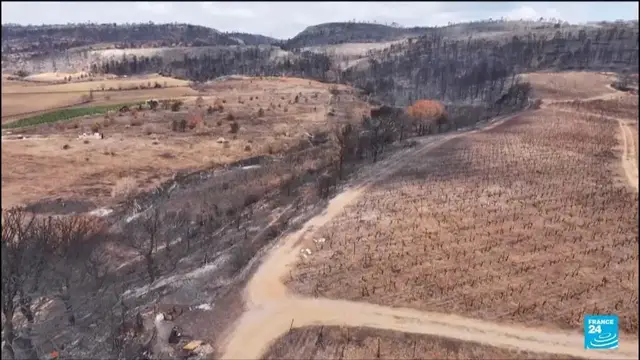 'Video thumbnail for Southern France vineyards solidary after wildfires rave over 1 million hectares'