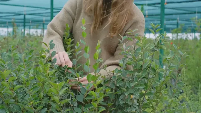 Video thumbnail for From Seed to Harvest: Organic Farming Tips and Tricks