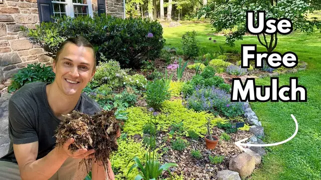 Video thumbnail for Get Free Mulch - Natural Wood Chips - ChipDrop