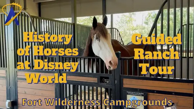 'Video thumbnail for Guided Tour of Disney's Tri Circle D Ranch'