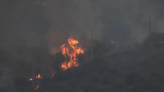 Video thumbnail for Italy: Wildfires threaten residential areas across Italy's Sicily, forcing evacuations.