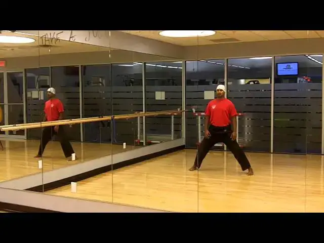 Video thumbnail for KARATE LESSON 2