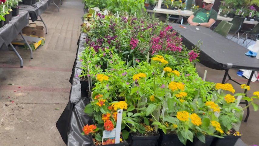 Video thumbnail for A plant sale is happening this weekend at Bayard Cutting