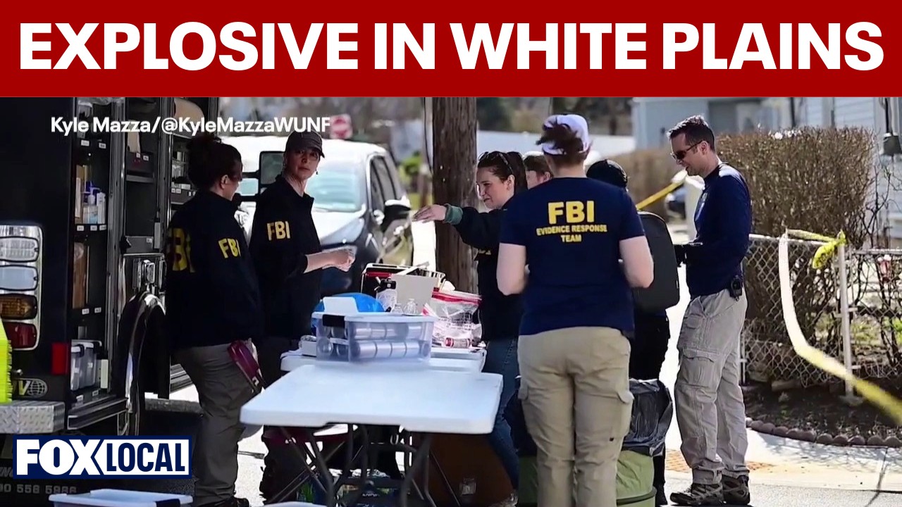 Video thumbnail for Explosive found at White Plains apartment: 1 in custody