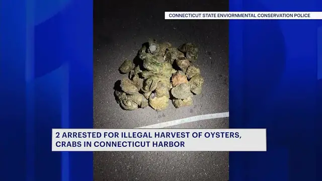 Video thumbnail for 2 men arrested for illegal harvest of oysters, crabs in Connecticut harbor