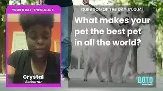 Video thumbnail for Crystal's dog was very playful, and holds special family importance!