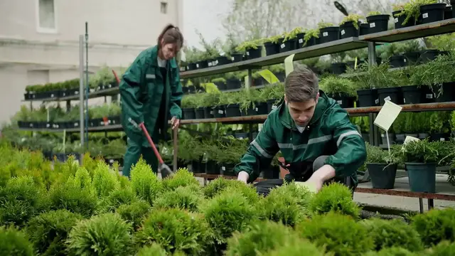 Video thumbnail for Planting Hostas in Shade